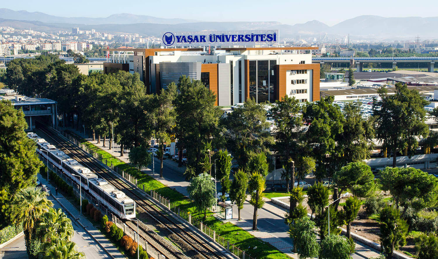 Welcome to Our Website